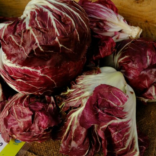 Radicchio